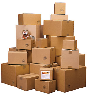 Professional packing service